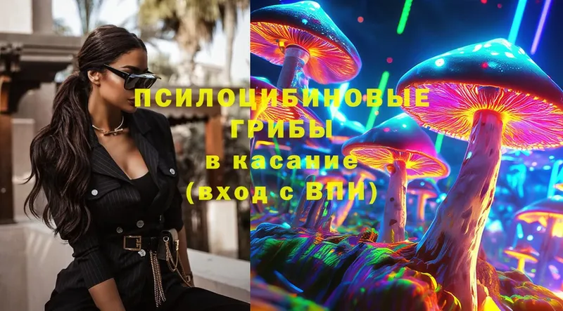 Галлюциногенные грибы Magic Shrooms Грязовец